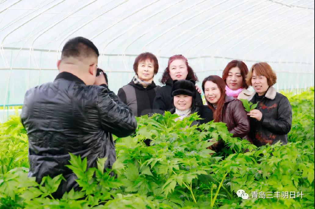 爱在三八节 丨青岛三丰明日叶女神节感恩回馈活动圆满结束